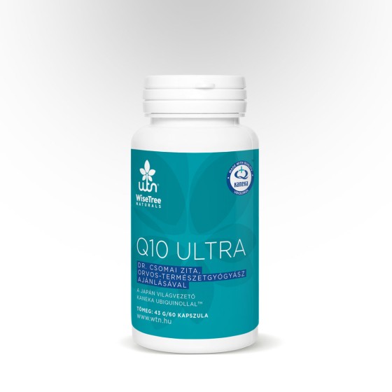 WTN Q10 ultra 