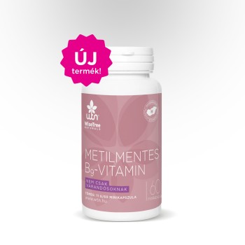 WTN Metilmentes B9-vitamin
