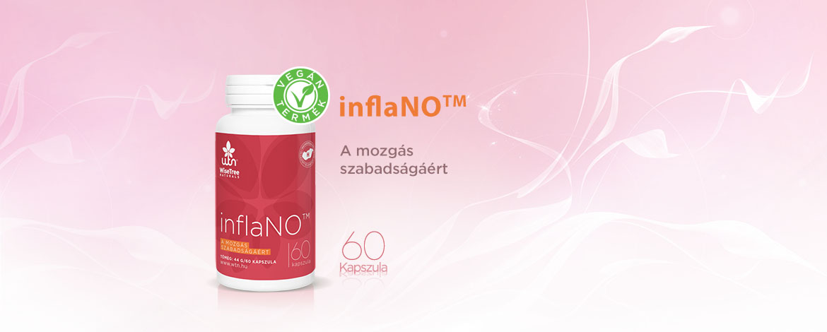 inflano header 1170x470 v1 1