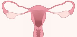 A szabálytalan menstruációs ciklus hatása a fogantatásra
