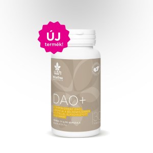 WTN DAO+