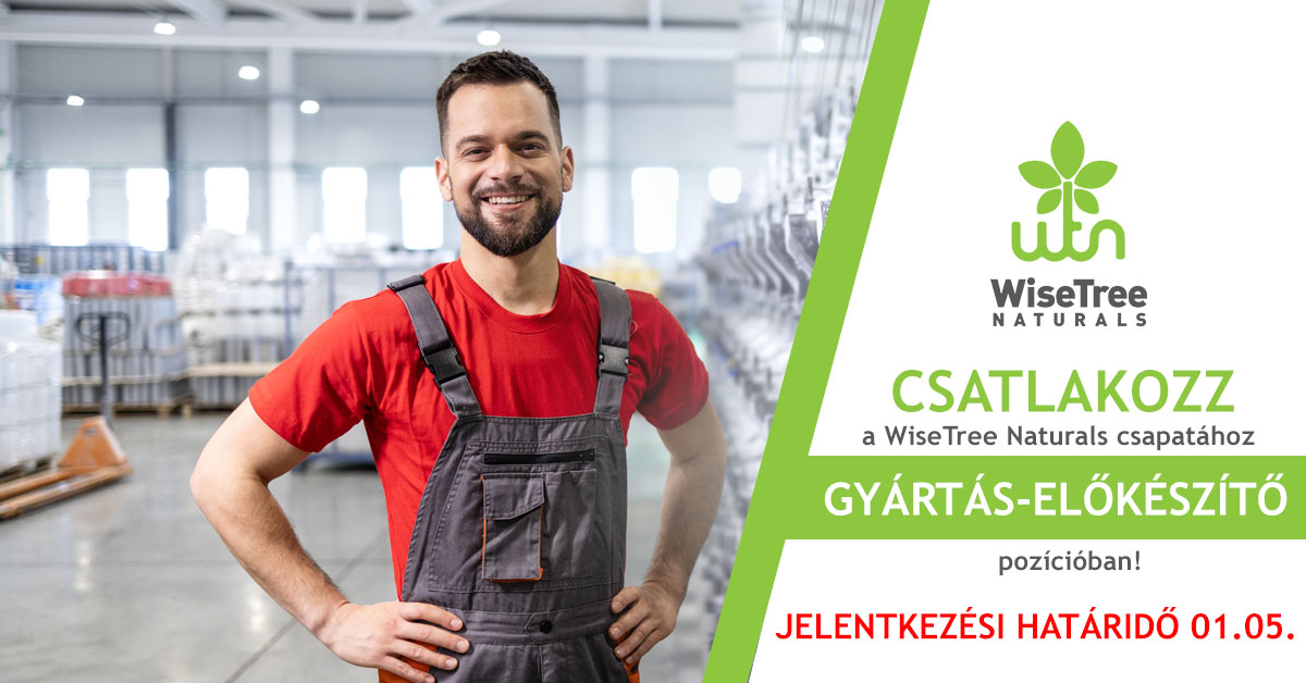 wtn gyartas elokeszito 2025 12 18 1200x628