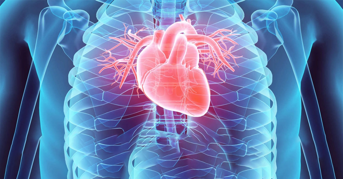 Szimpatika – Mediterrán tabletta a szívbetegségek ellen
