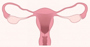 A szabálytalan menstruációs ciklus hatása a fogantatásra
